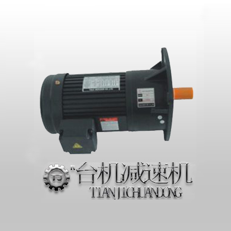 立式齿轮减速电机